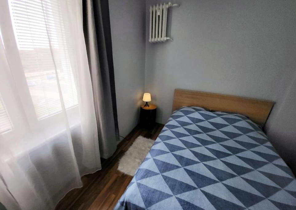 포즈난 Ogrody * Wi-Fi * Jezyce * 3 Km Center 아파트 외부 사진
